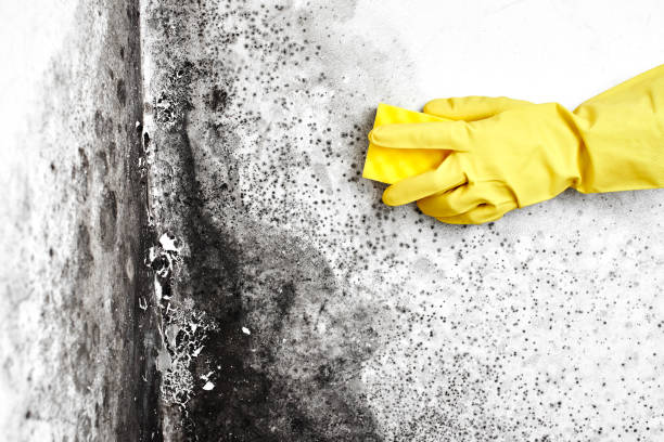 Water Damage Restoration in Plantsville, CT