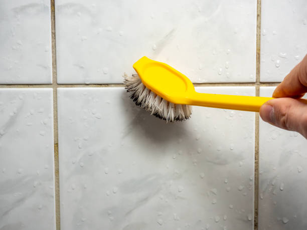 Best Mold Testing  in Plantsville, CT