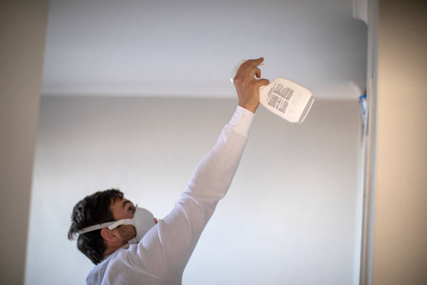 Best Mold Removal Near Me  in Plantsville, CT
