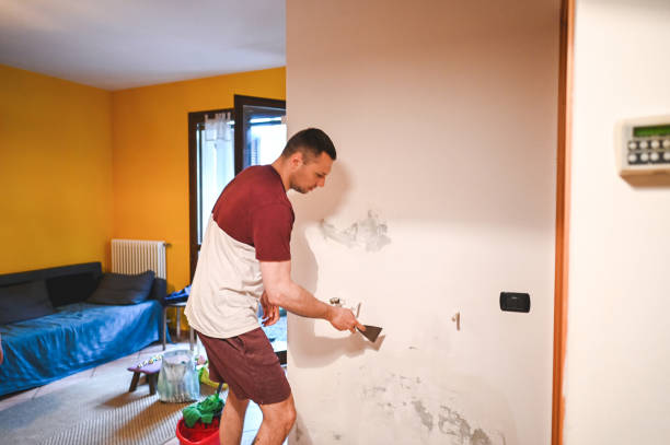 Best Mold Removal Company Near Me  in Plantsville, CT